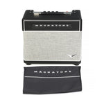Amplificateur Magnatone Baby M-80
