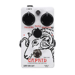 Fuzz Wren and Cuff Caprid