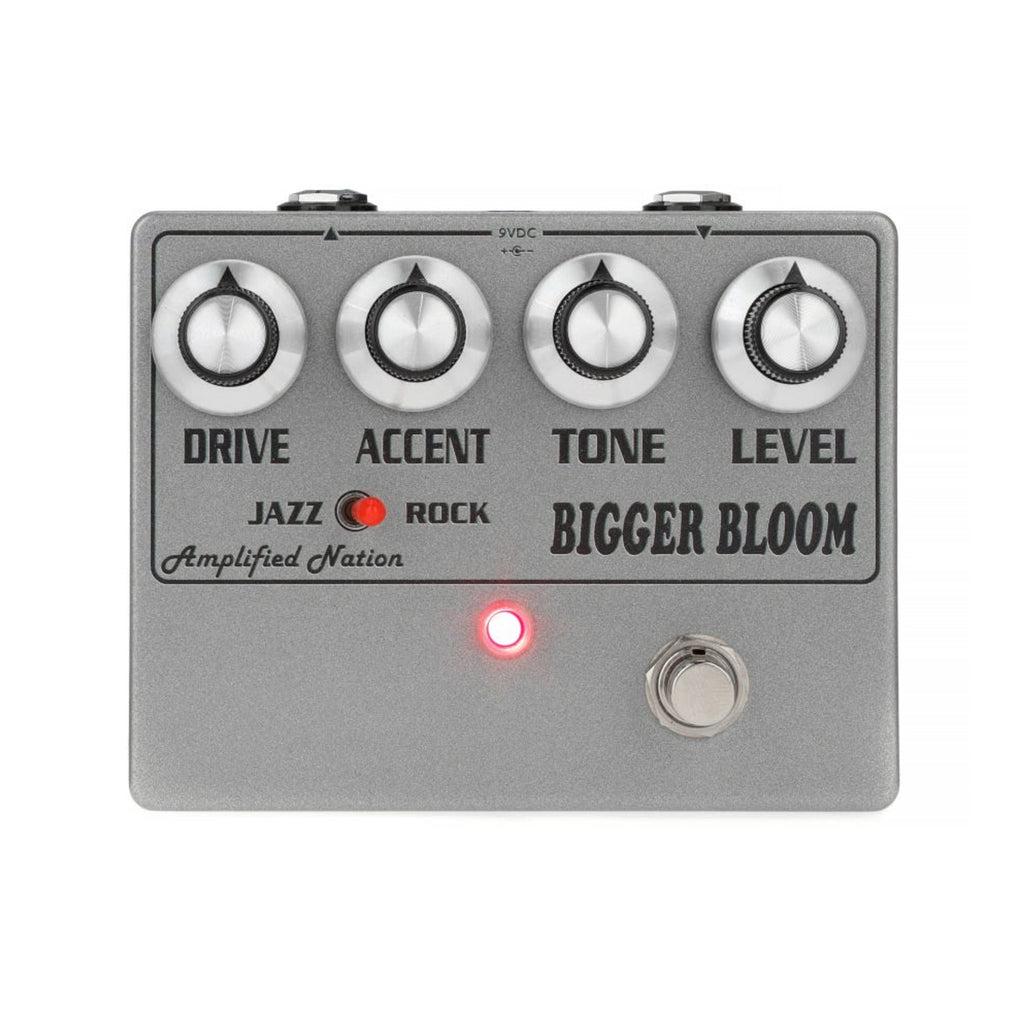Amplified_Nation_Bigger_Bloom_ 