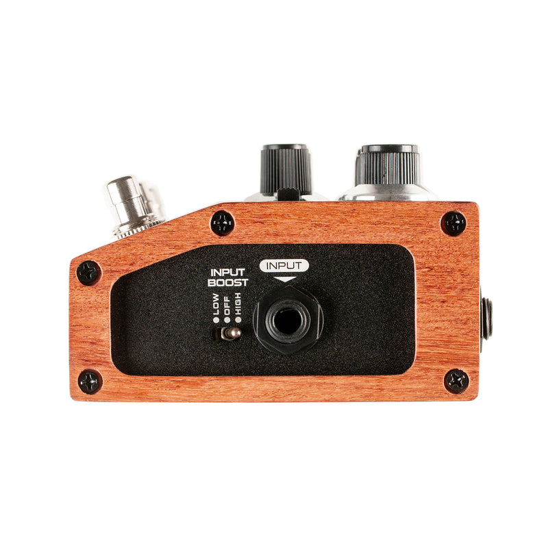 DSM & Humboldt Dumblifier Overdrive & Amp