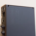 Delay et modulation Free the Tone Future Factory