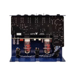 Tsakalis Mothership Overdrive & Preamp