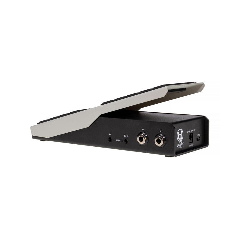 Walrus Audio Canvas Expression